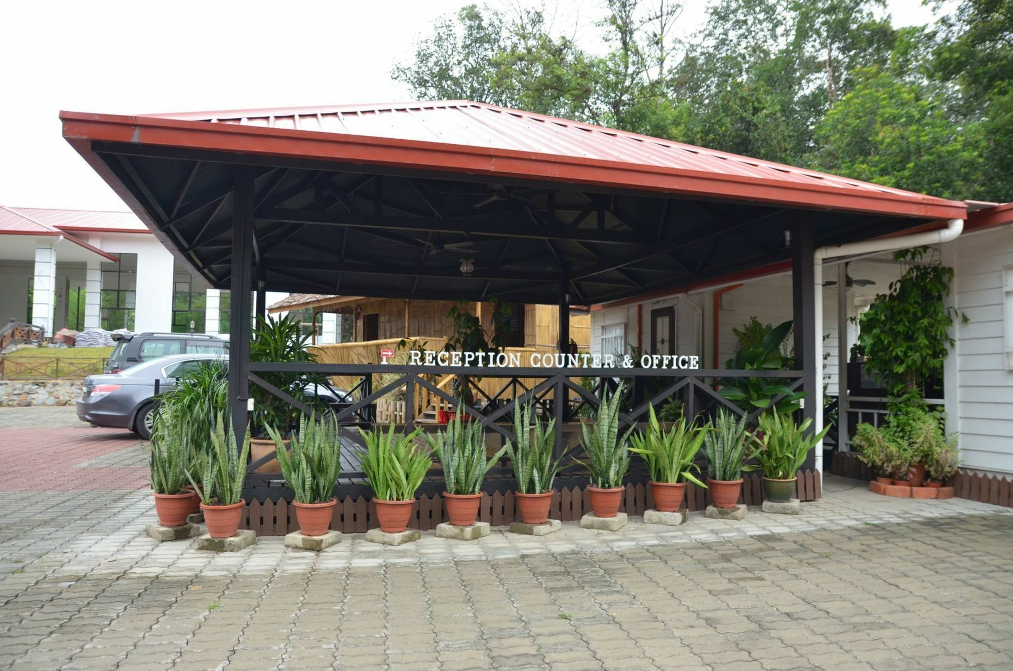 Hotel Borneo Tree House à Kota Kinabalu Extérieur photo