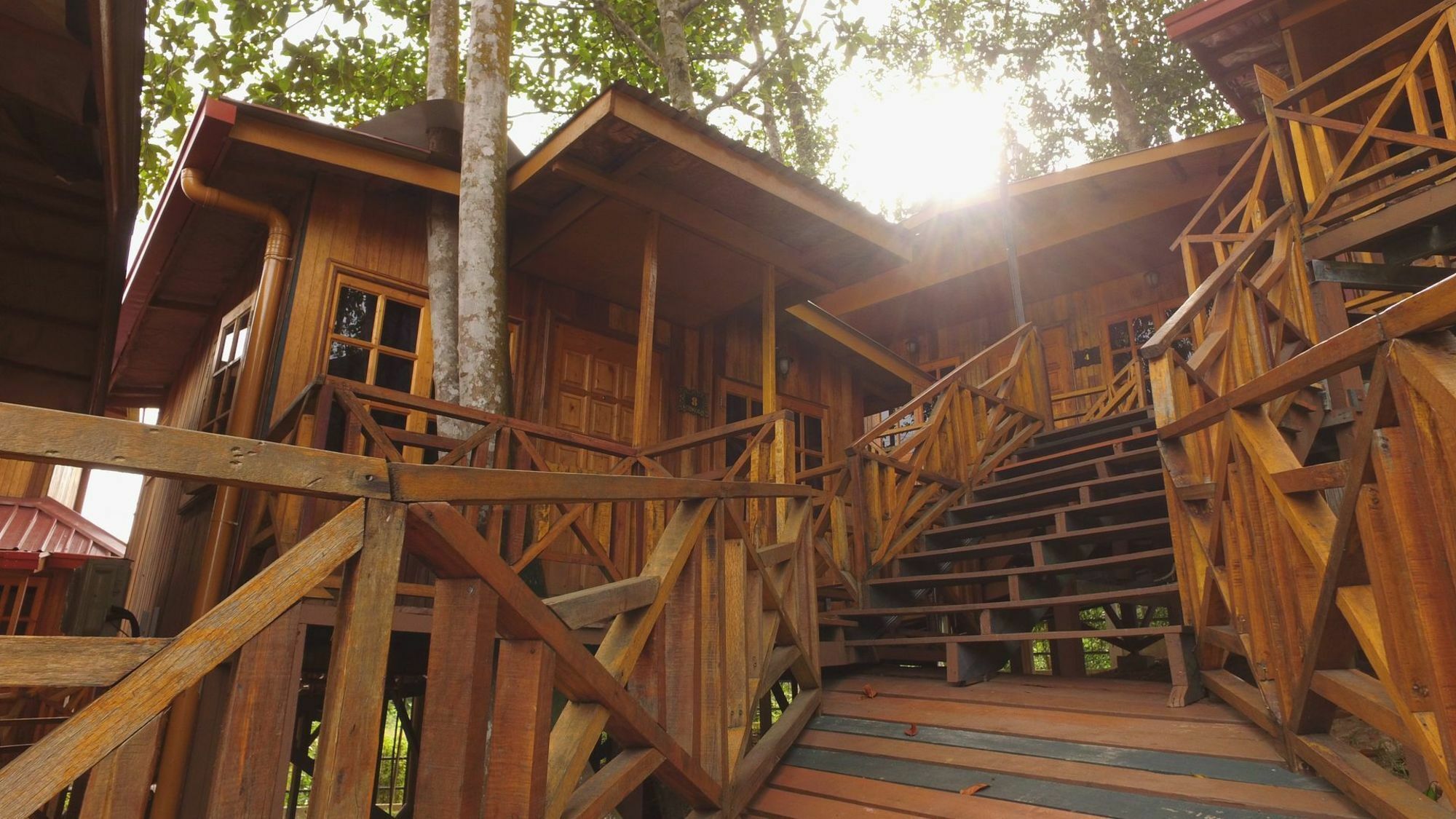 Hotel Borneo Tree House à Kota Kinabalu Extérieur photo