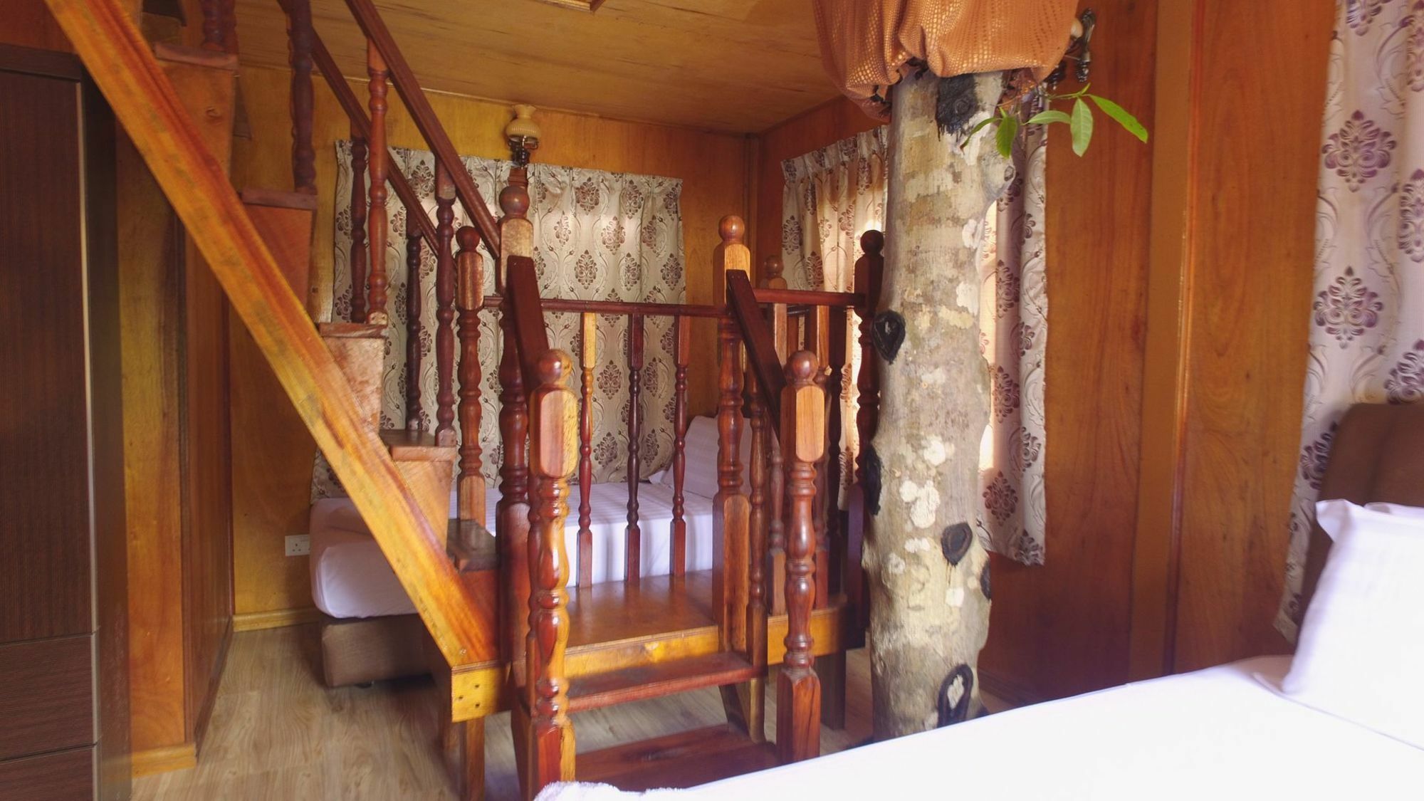Hotel Borneo Tree House à Kota Kinabalu Extérieur photo